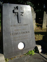 横浜外国人墓地　第２回調査