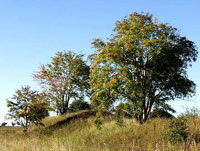 イーゴリの最期は…