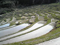 鴨川市　大山千枚田のI邸