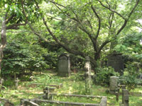 横浜外国人墓地