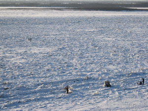 ２００９年新春・凍結したアムール河の上の人々