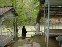 ウズベキスタン