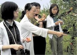 ダーチャ訪問ツアー