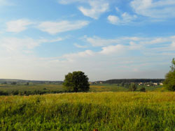 ウクライナの大地