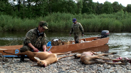 タイガからのメッセージ
