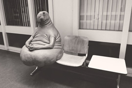 「ジュドゥン」