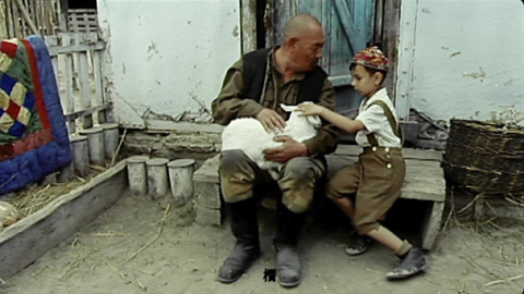 「スターリンへの贈り物」