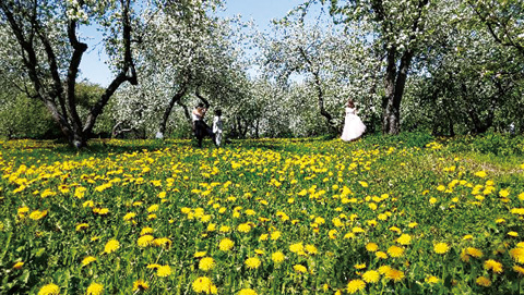 コローメンスコエ