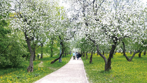 コローメンスコエ