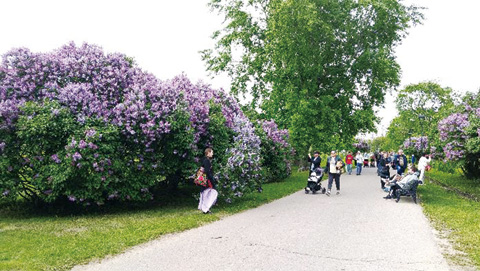 コローメンスコエ