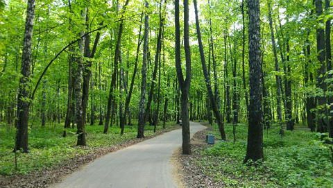 イズマイロヴォ