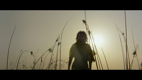 「鳥たちへの説教」