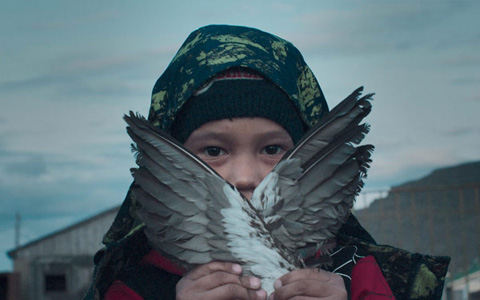 「ピブロクト」