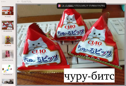 ロシア語・日本語交流会