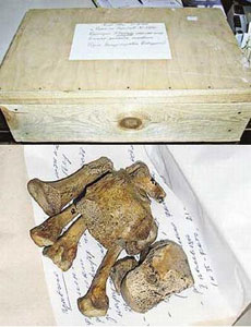 ユーリー・ドルゴルーキーの遺骨とされるもの