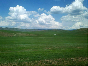 モンゴルの草原