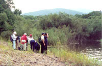 �w�t�c�B�[�����R�ی��