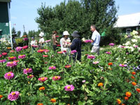 �_�[�`���ɂ�