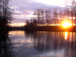 �����̕\���F�T���N�g�y�e���u���O�̗[�i