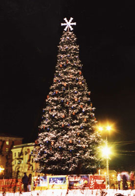 �V�N�̃��[���J�i���݂̖؁j