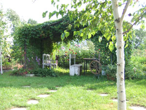 �n�o���t�X�N�̃_�[�`��