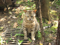 ���l�O���l��n