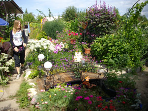 �n�o���t�X�N�̃_�[�`��