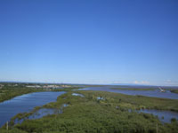 �A���[����