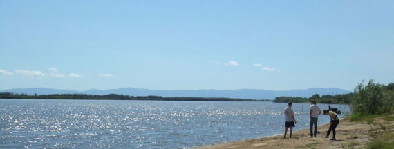 �A���[����