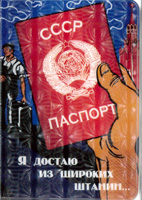 パスポートカバー表