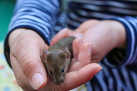 野毛山公園・動物園訪問