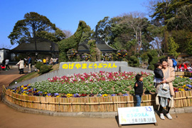 野毛山公園・動物園訪問
