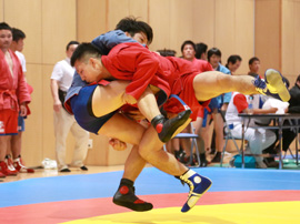 全日本サンボ選手権大会