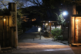 三渓園夜桜鑑賞会