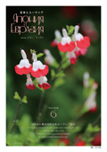 6月号
