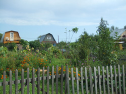 大自然とハバロフスク市民交流の旅